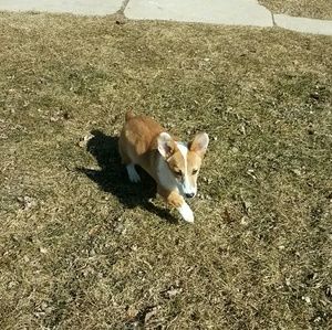 Meet your Posher, Ana